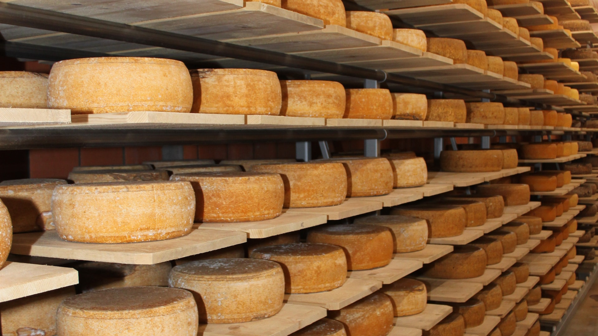 The magic of Cretan cheeses that you will also enjoy in Pasifai